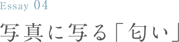 Essay 04 写真に写る「匂い」:野川 かさね