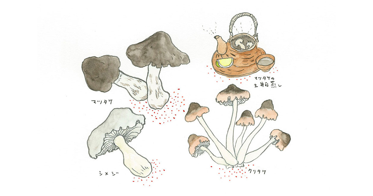 【真作】一松庵/松茸画賛/秋の図/マツタケ図/掛軸/名家伝来/AD-233 セール 国内 真作】一松庵/松茸画賛/秋の図/マツタケ図/掛軸